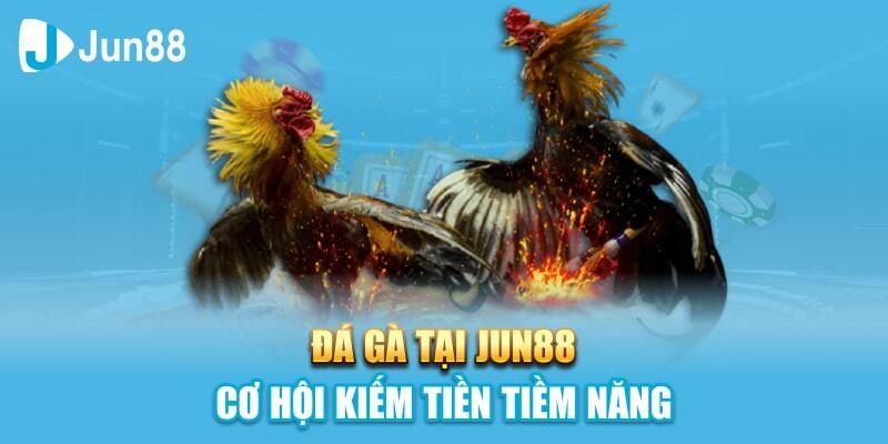 Luật Chơi Trực Tiếp Đá Gà Thomo Tại Jun88 3 Chế độ bảo mật cực kỳ an toàn cho mọi người